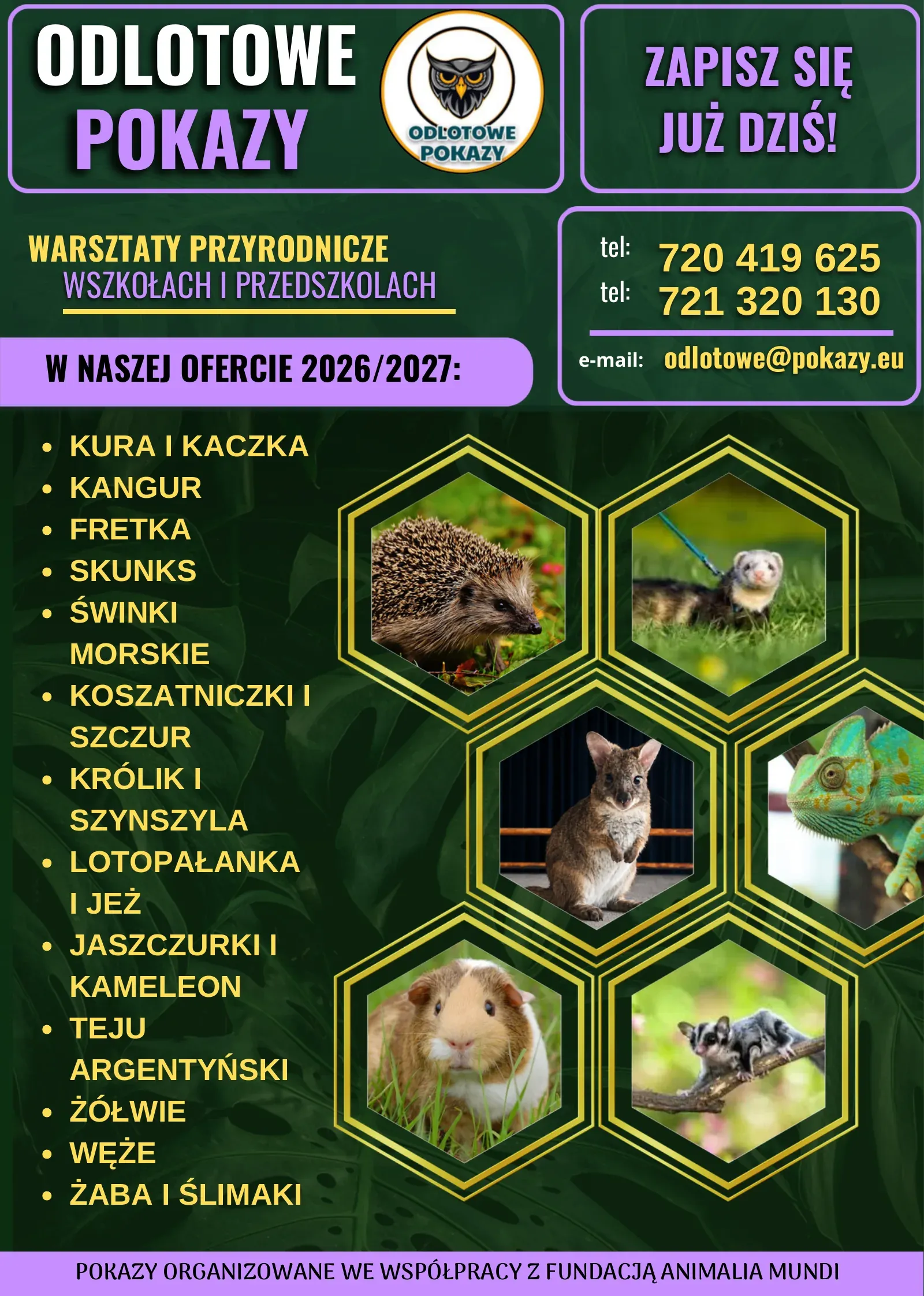 Warsztaty ze zwierzętami - lubelskie