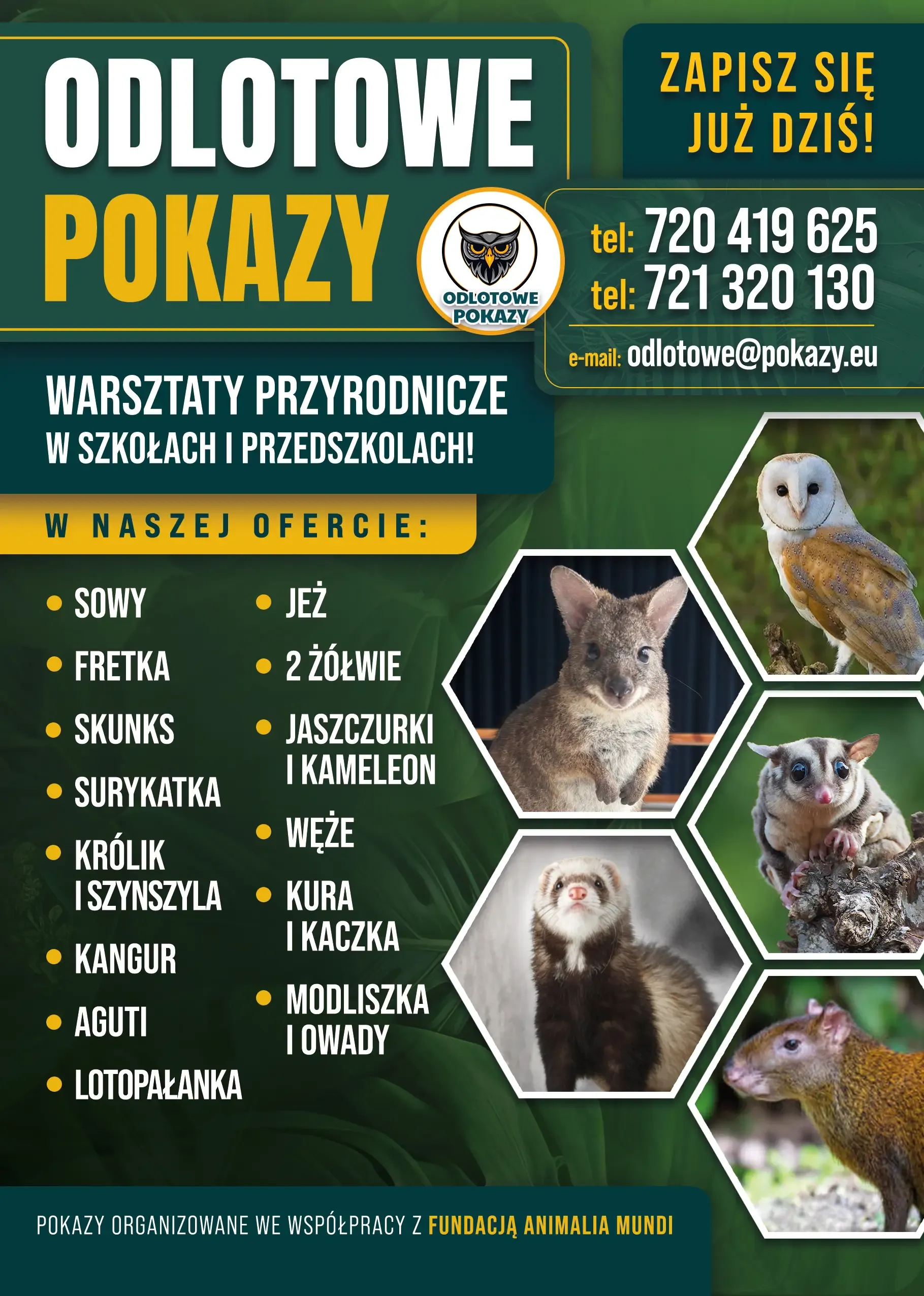 Warsztaty ze zwierzętami