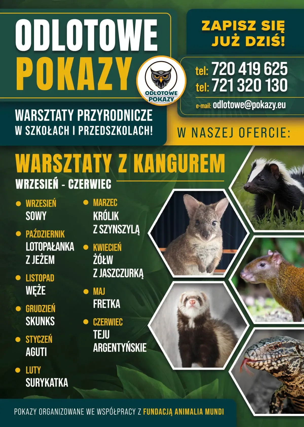Warsztaty ze zwierzętami